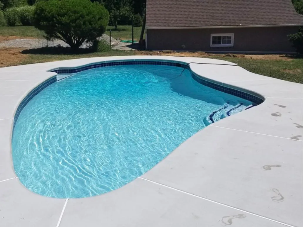 Freeform pool with a light finish, blue waterline tile and new concrete deck