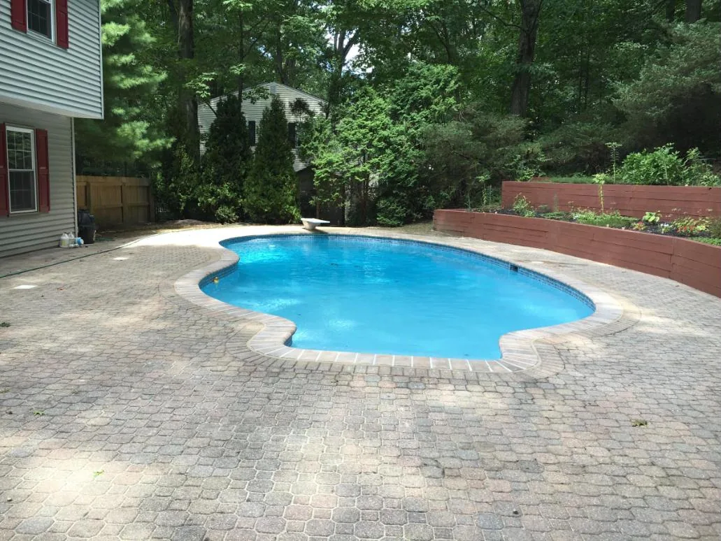 Kidney-shaped pool with paver coping in a wooded backyard